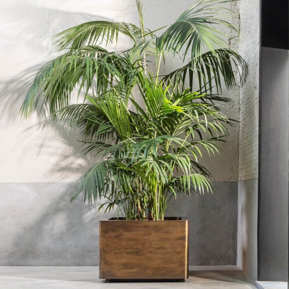 Brass Square Gold Planters