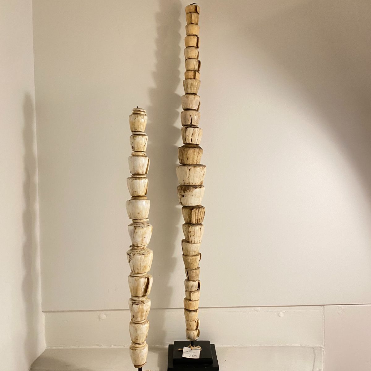 Money Sticks (volle schelp)