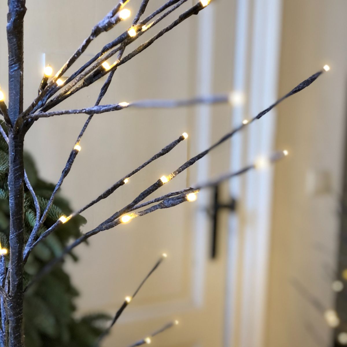 Takkenboompje met licht