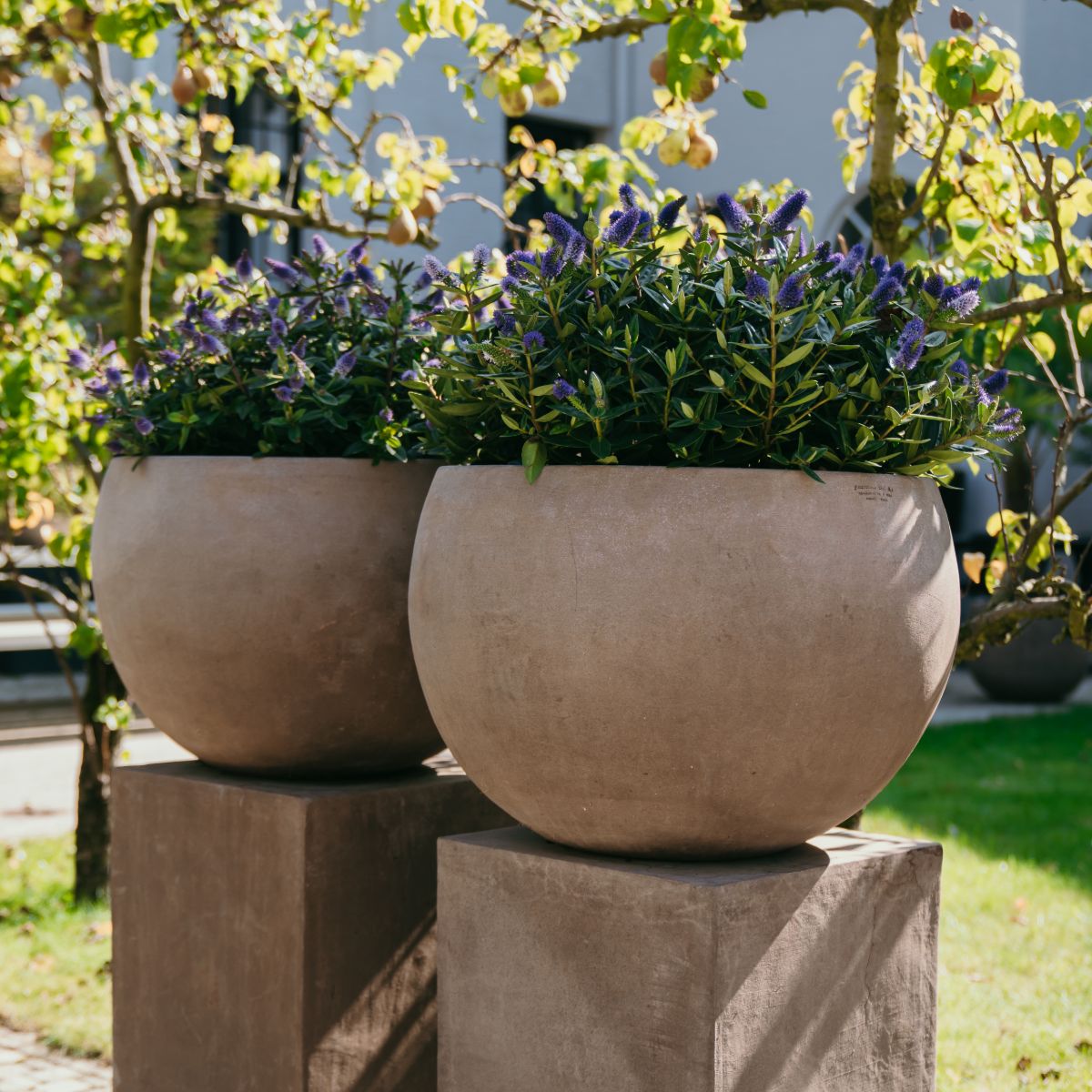 Terracotta d'Arte pot Caspo Liscio